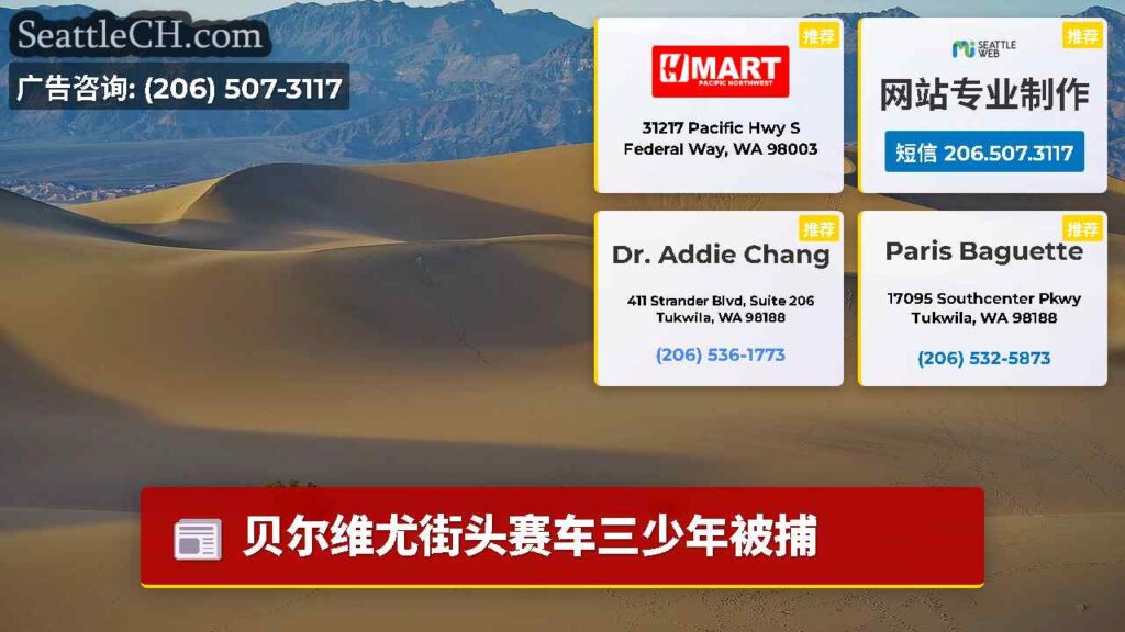 贝尔维尤街头赛车三少年被捕