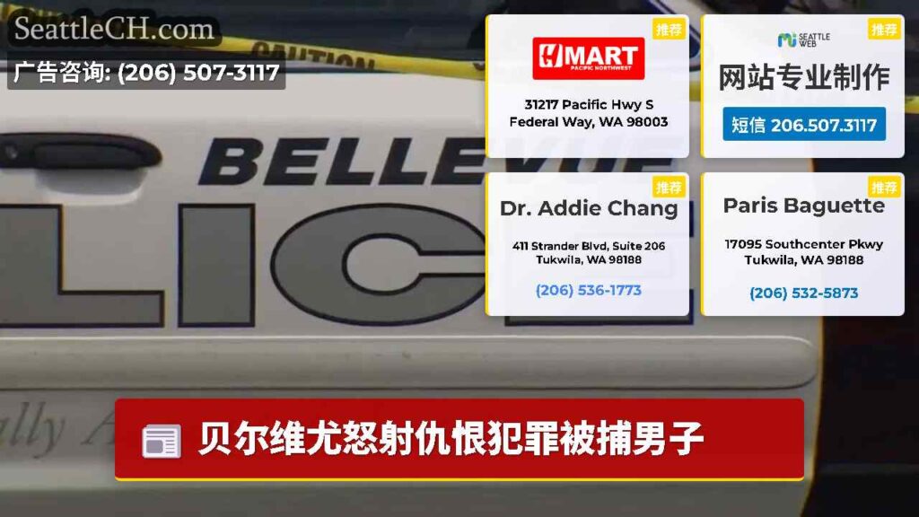 贝尔维尤怒射仇恨犯罪被捕男子