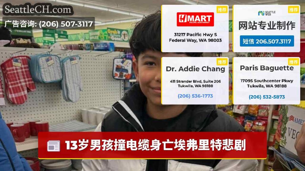 13岁男孩撞电缆身亡埃弗里特悲剧