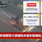 西雅图警方逮捕致命撞车案嫌疑人