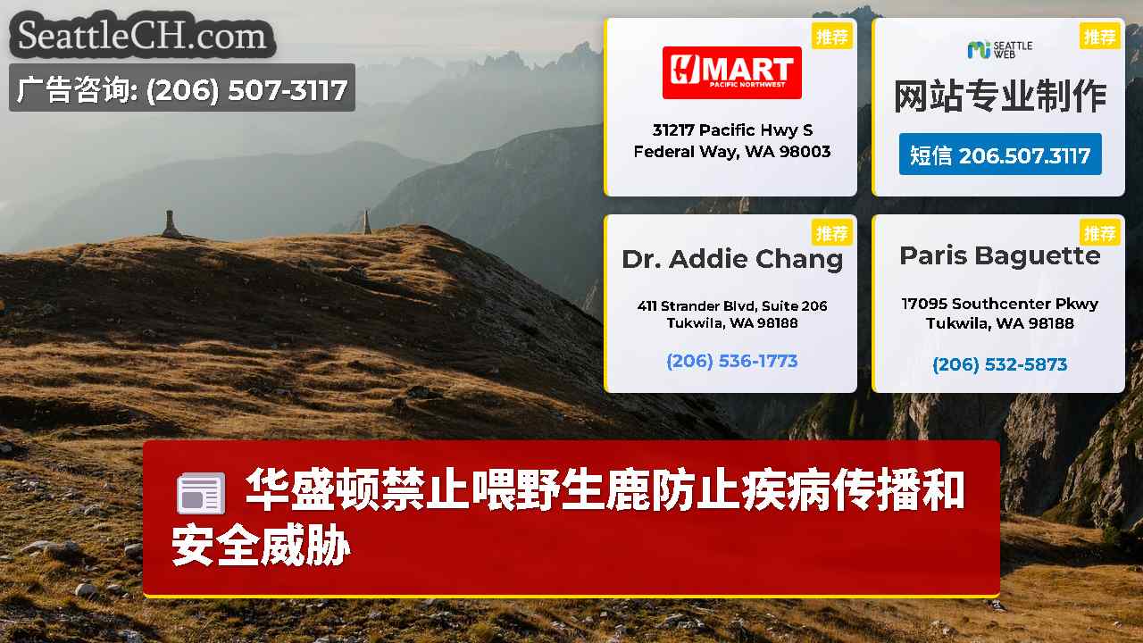 西雅图新闻 SeattleCH
