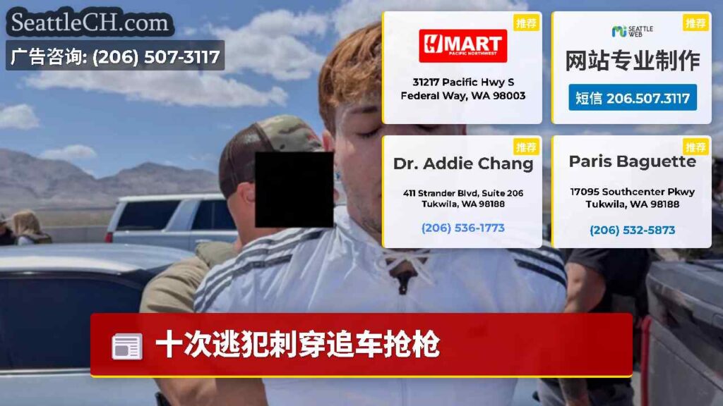 十次逃犯刺穿追车抢枪