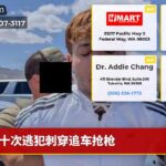十次逃犯刺穿追车抢枪
