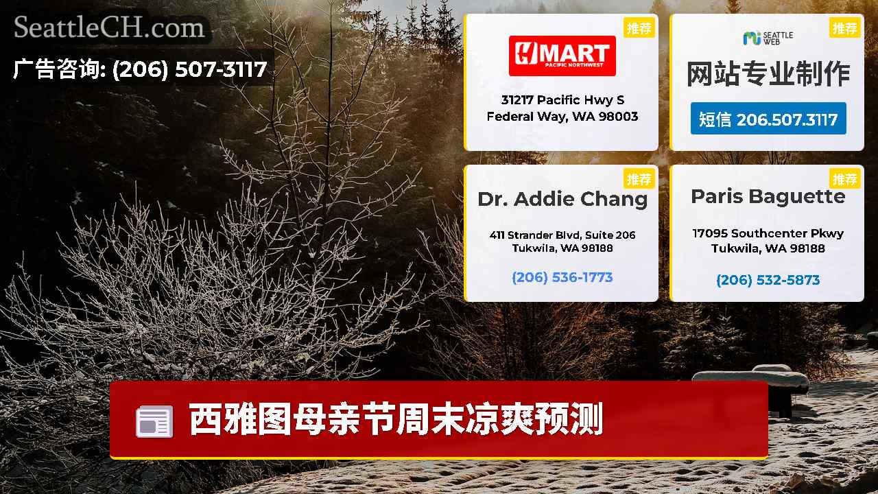 西雅图新闻 SeattleCH