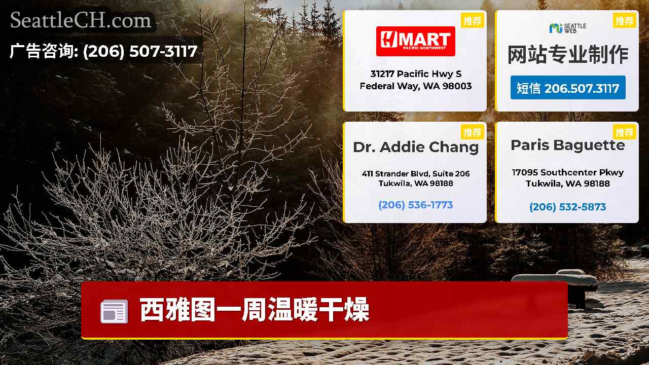 西雅图新闻 SeattleCH