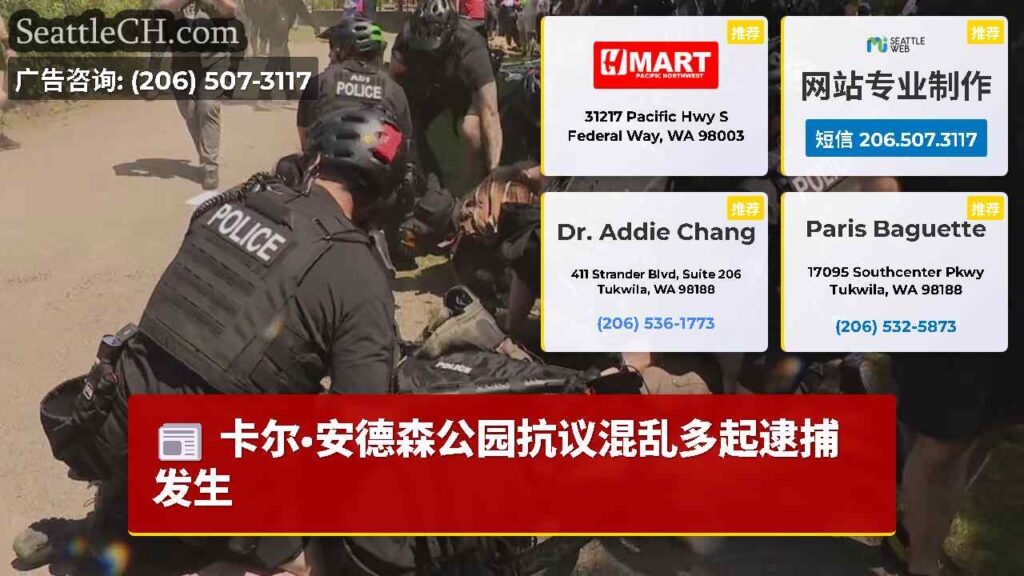 卡尔·安德森公园抗议混乱多起逮捕发生