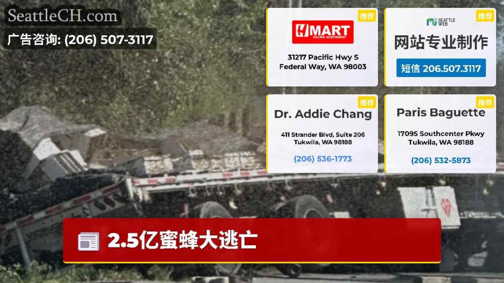 2.5亿蜜蜂大逃亡