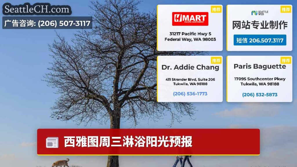 西雅图周三淋浴阳光预报