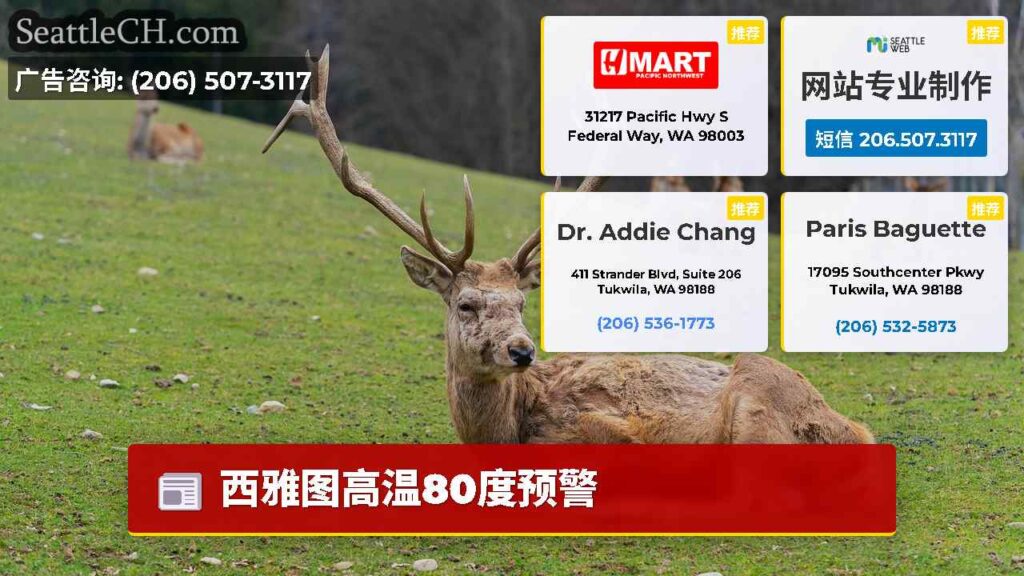 西雅图高温80度预警