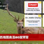 西雅图高温80度预警