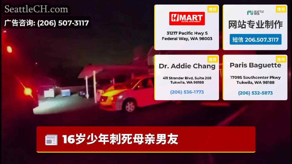 16岁少年刺死母亲男友