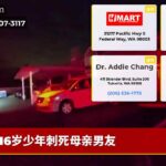 16岁少年刺死母亲男友