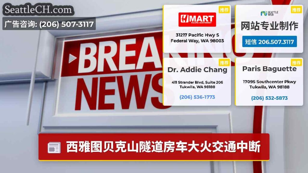 西雅图贝克山隧道房车大火交通中断