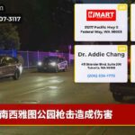 南西雅图公园枪击造成伤害