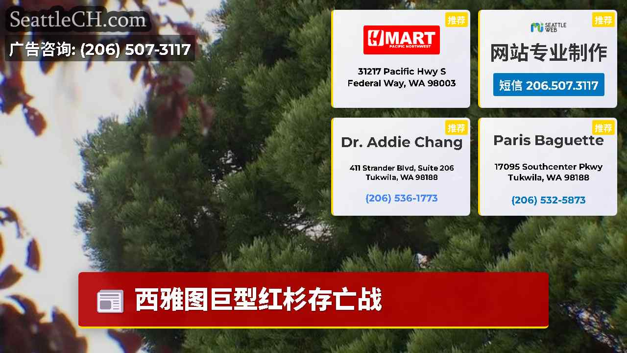 西雅图新闻 SeattleCH