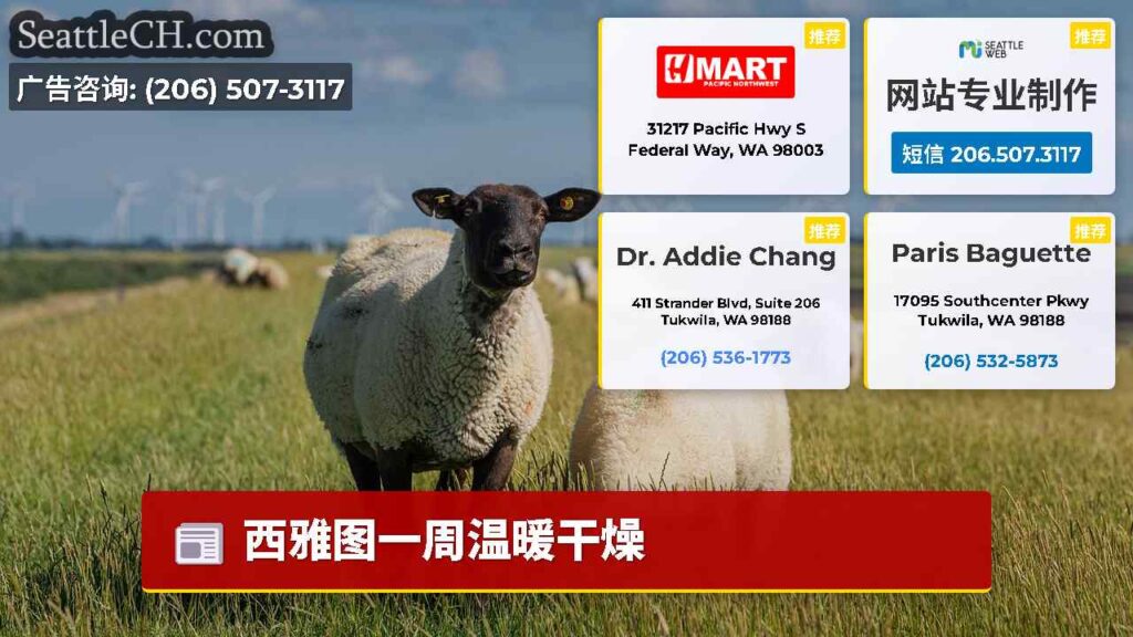 西雅图一周温暖干燥