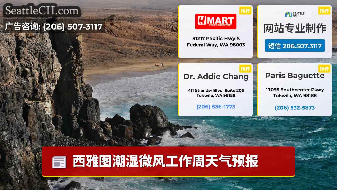 西雅图新闻 SeattleCH