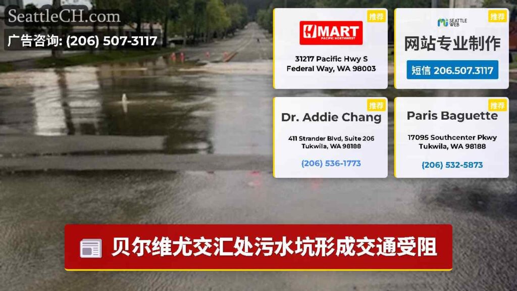 贝尔维尤交汇处污水坑形成交通受阻