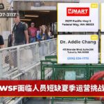 WSF面临人员短缺夏季运营挑战