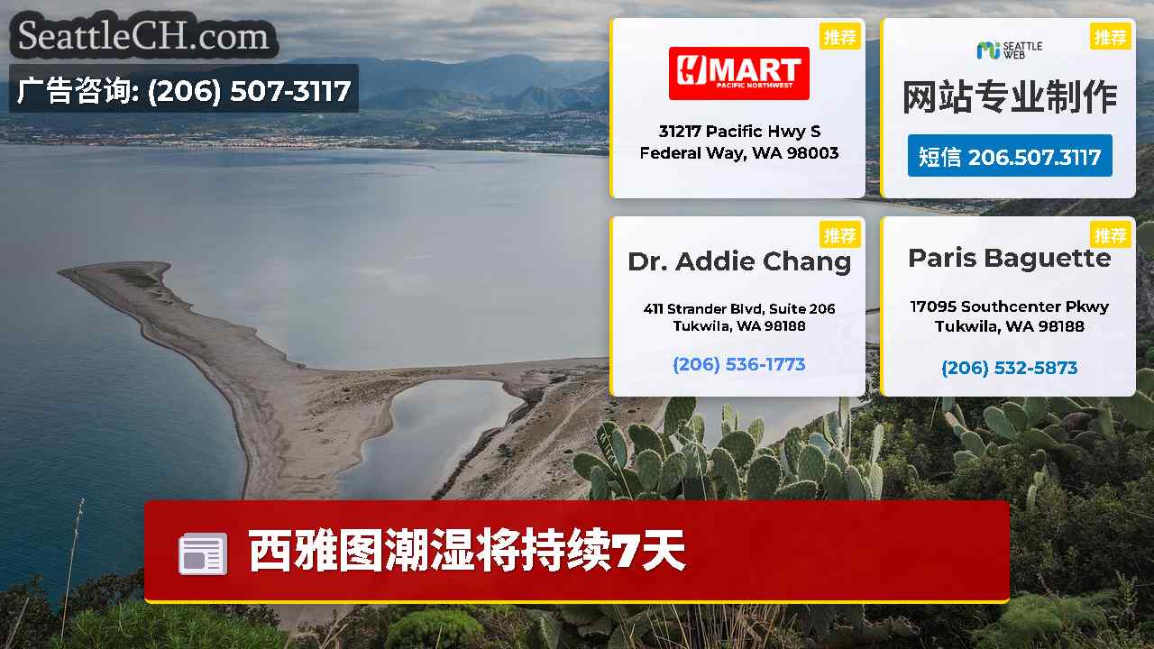 西雅图新闻 SeattleCH