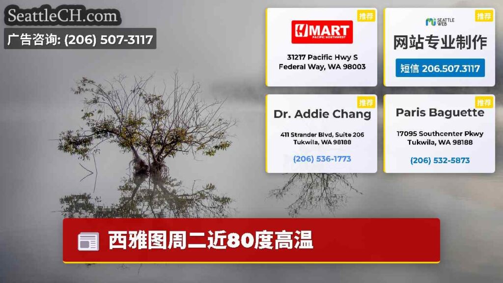 西雅图周二近80度高温