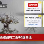 西雅图周二近80度高温