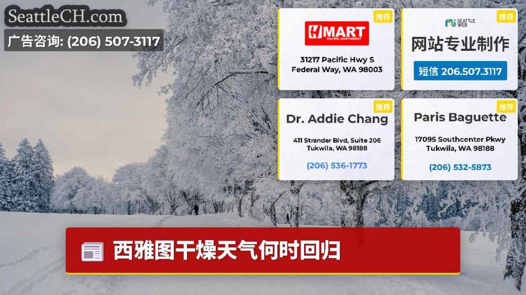 西雅图干燥天气何时回归