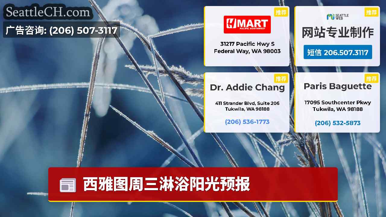 西雅图新闻 SeattleCH