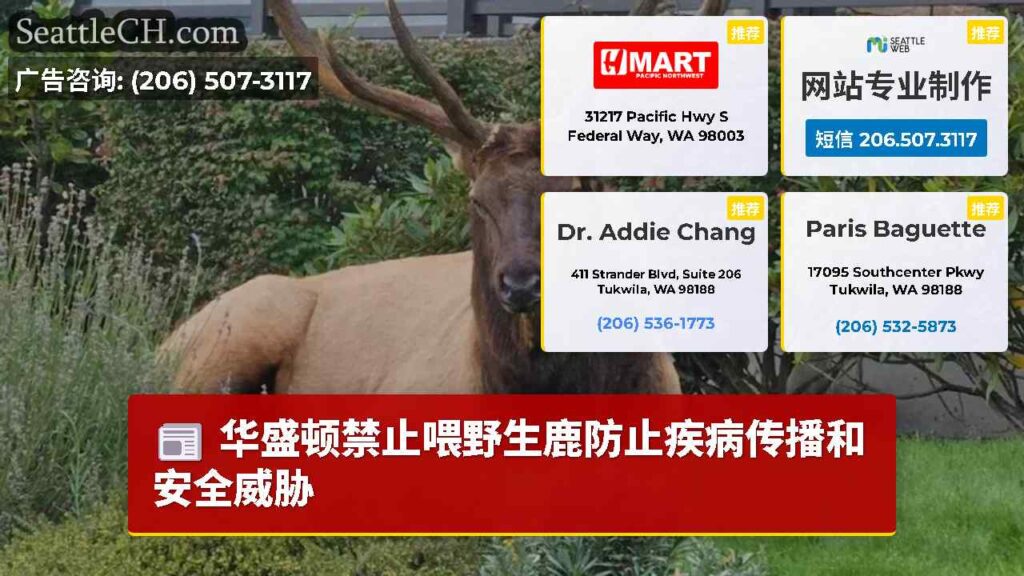 华盛顿禁止喂野生鹿防止疾病传播和安全威胁