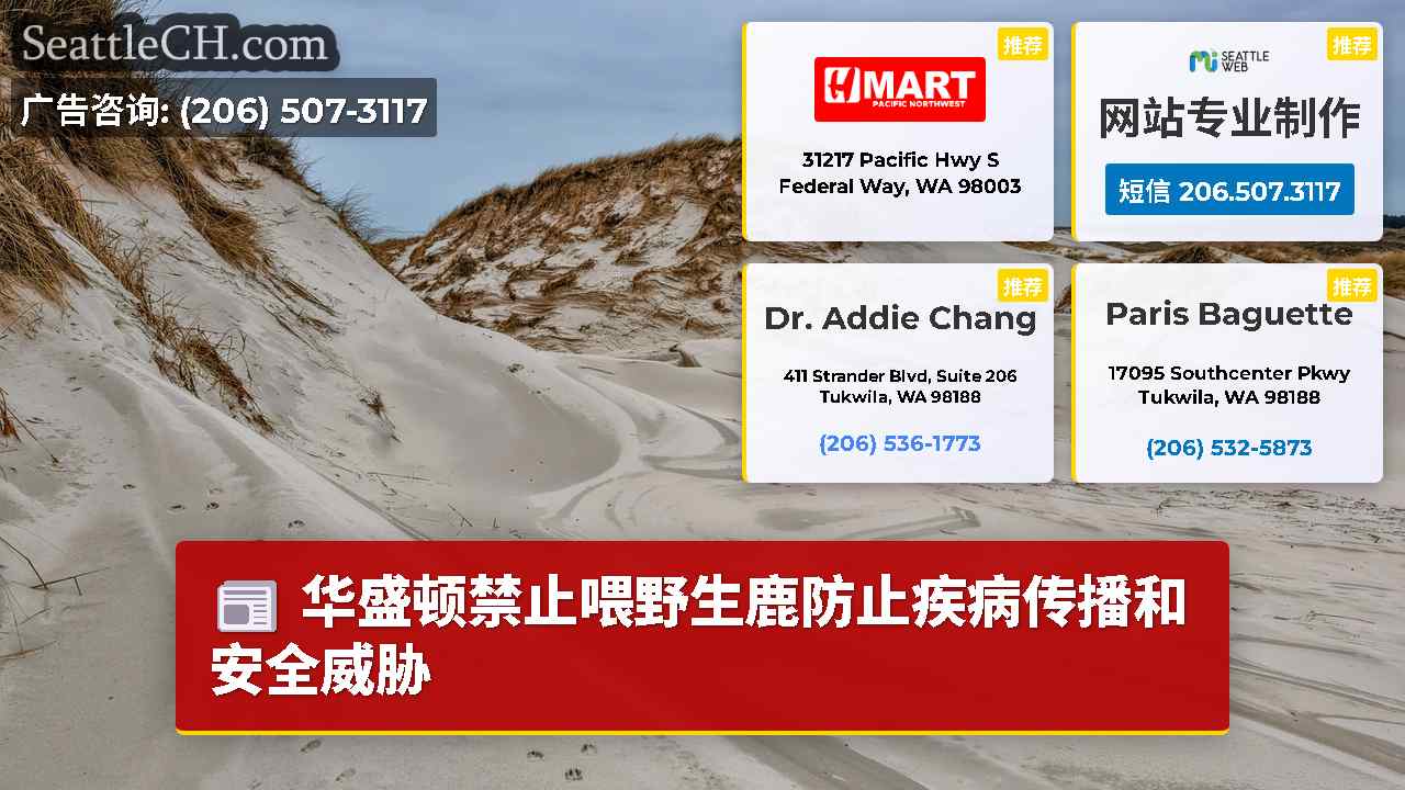 西雅图新闻 SeattleCH