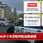 14岁少年因联邦枪击案被捕