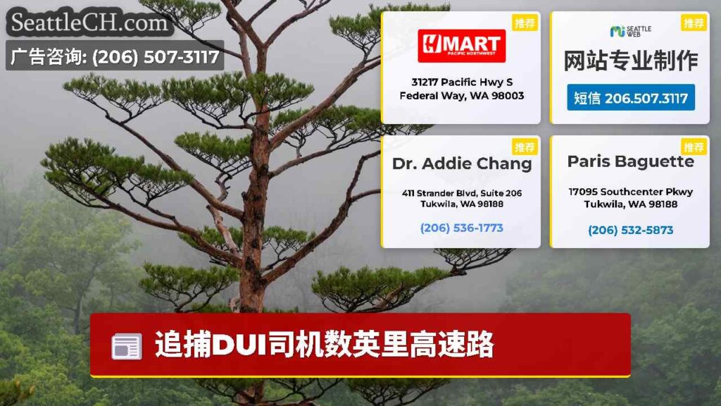 追捕DUI司机数英里高速路