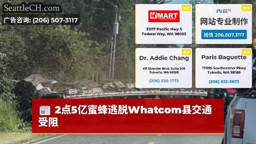2点5亿蜜蜂逃脱Whatcom县交通受阻