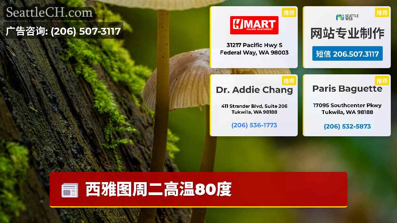 西雅图新闻 SeattleCH