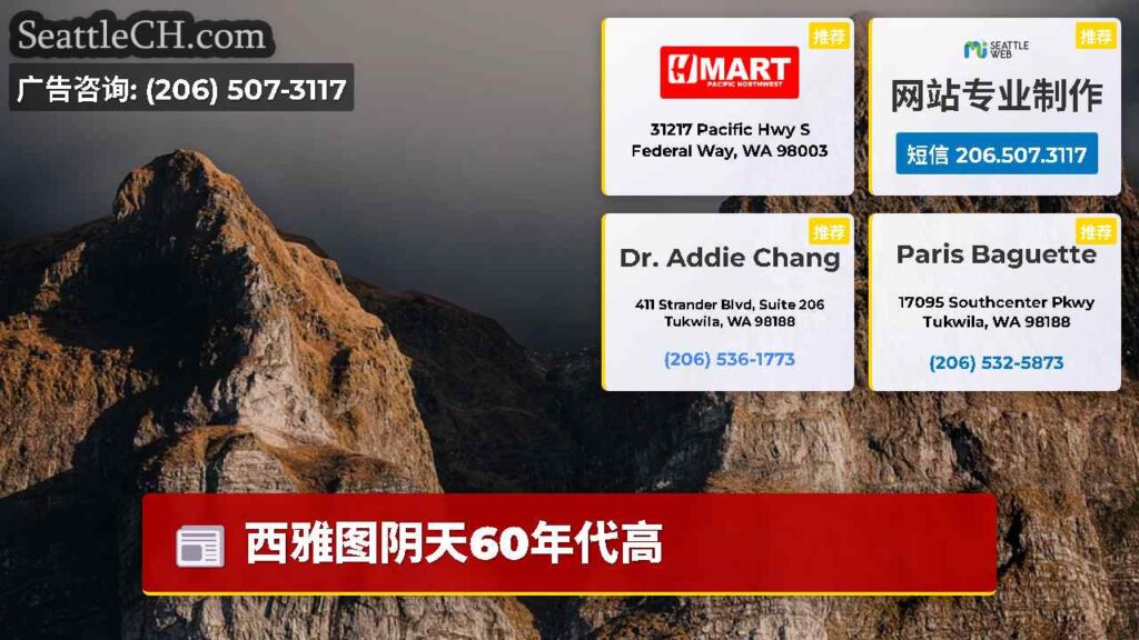 西雅图阴天60年代高