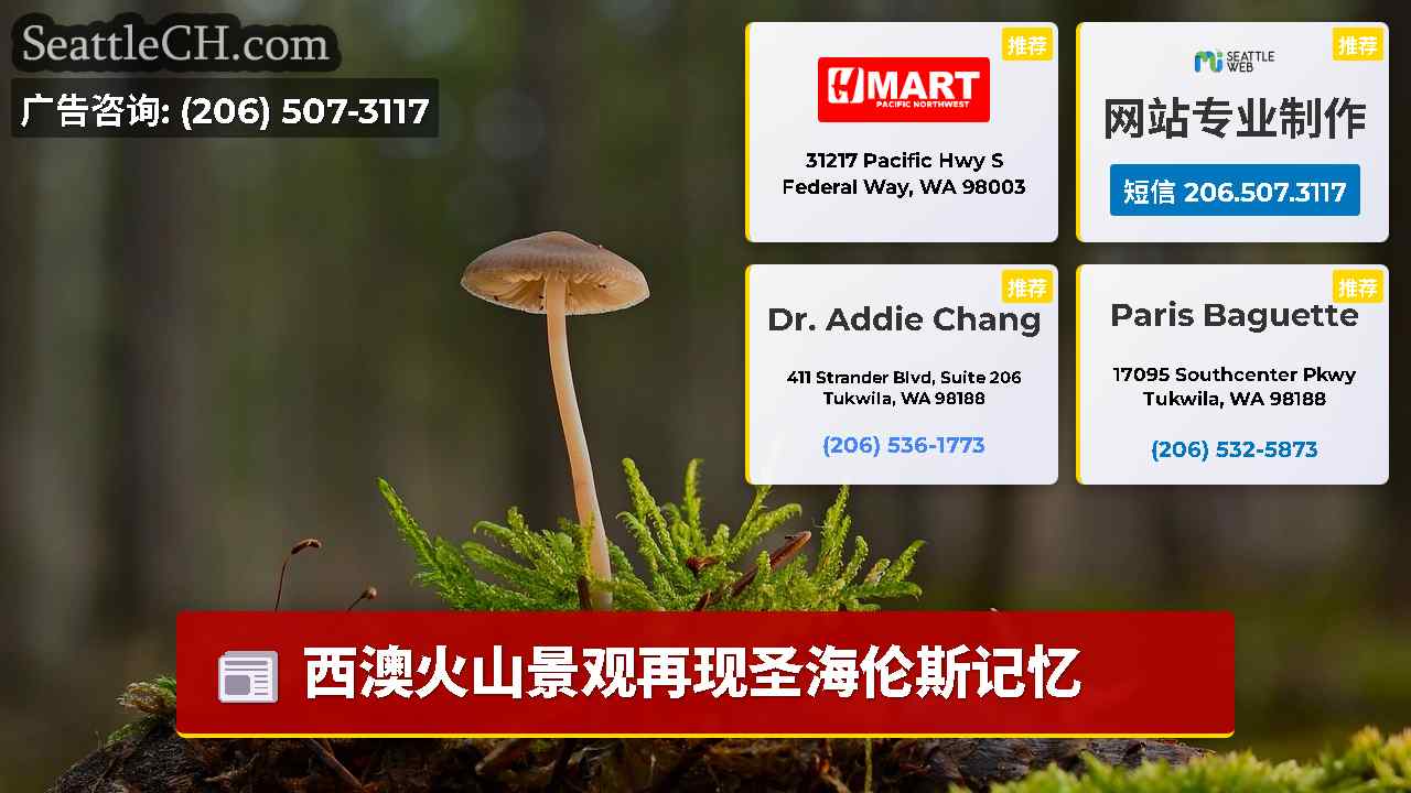 西雅图新闻 SeattleCH
