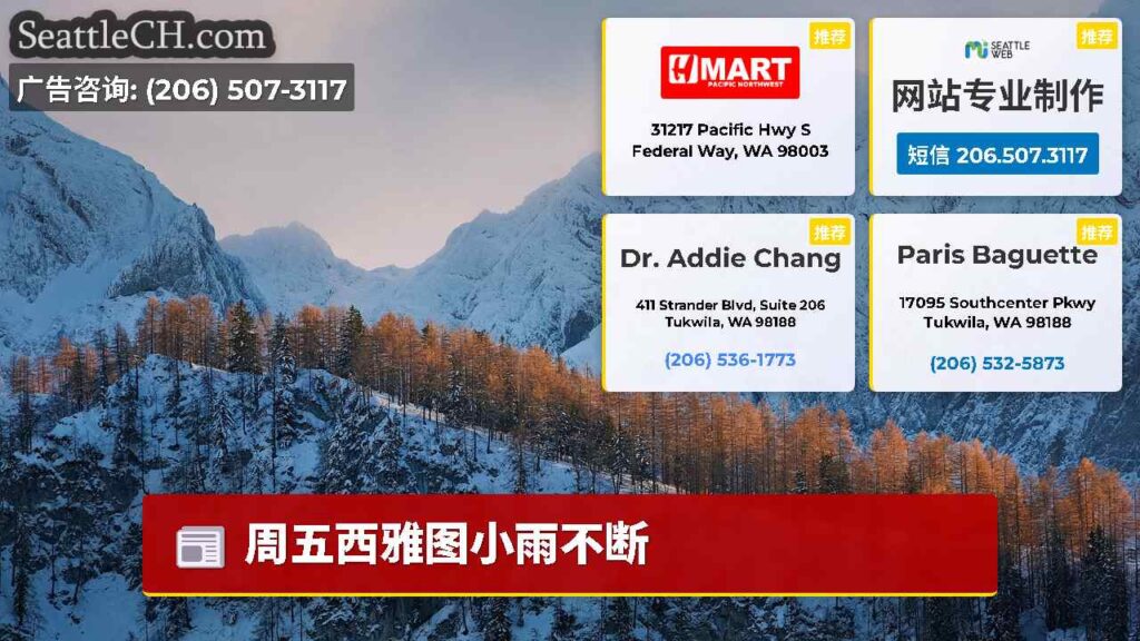 周五西雅图小雨不断