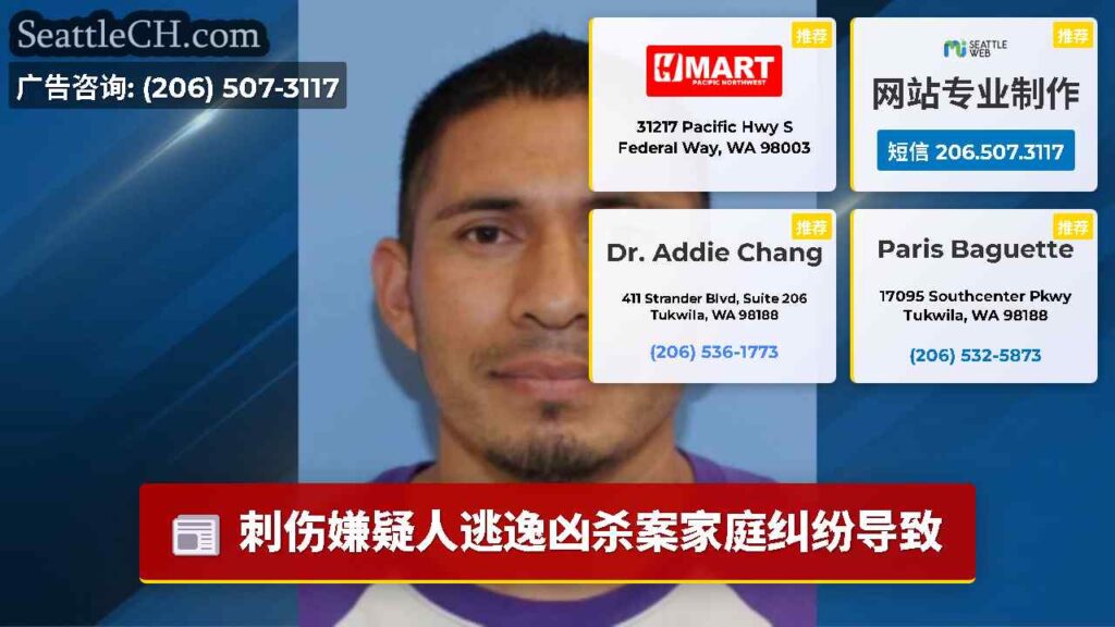 刺伤嫌疑人逃逸凶杀案家庭纠纷导致