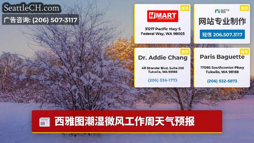 西雅图潮湿微风工作周天气预报