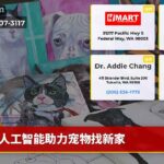 人工智能助力宠物找新家