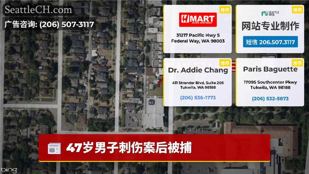 47岁男子刺伤案后被捕