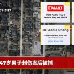 47岁男子刺伤案后被捕