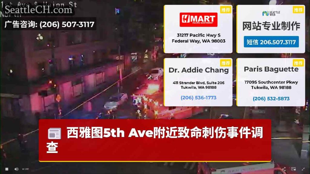 西雅图5th Ave附近致命刺伤事件调查