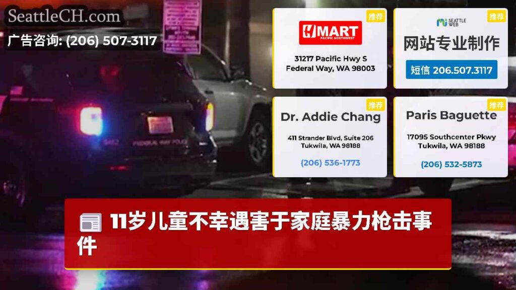 11岁儿童不幸遇害于家庭暴力枪击事件