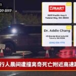 行人晨间遭撞离奇死亡附近高速路口