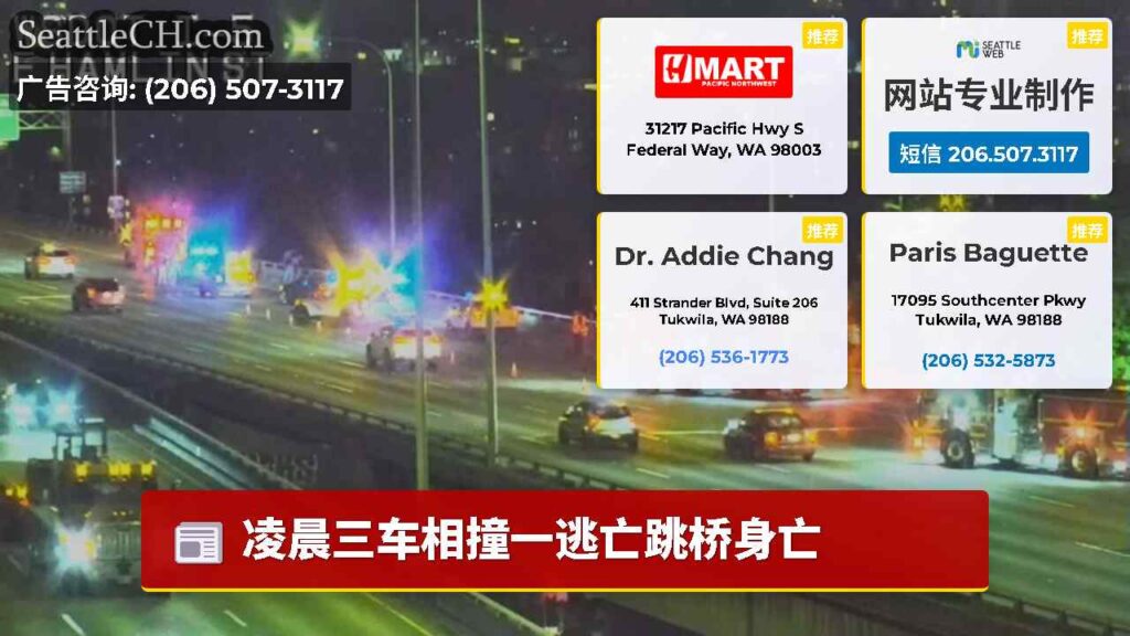 凌晨三车相撞一逃亡跳桥身亡