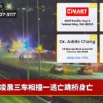 凌晨三车相撞一逃亡跳桥身亡