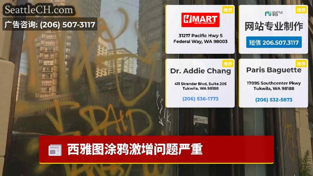 西雅图涂鸦激增问题严重