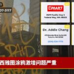 西雅图涂鸦激增问题严重