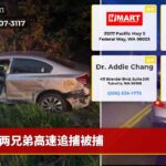 两兄弟高速追捕被捕